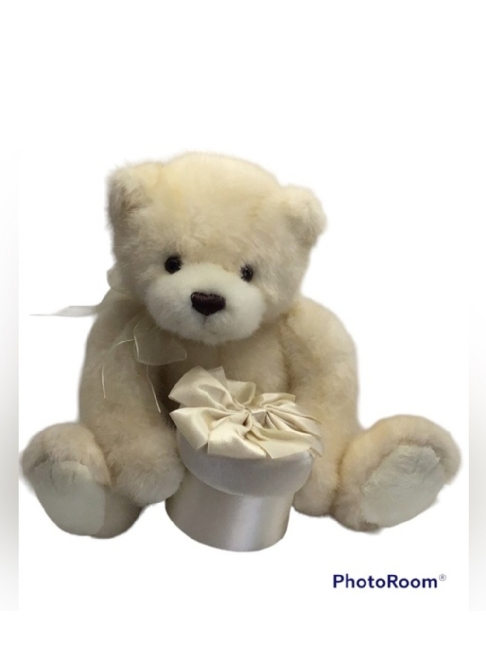 💚 GUND Stuffed Bear with Round Box and Bow